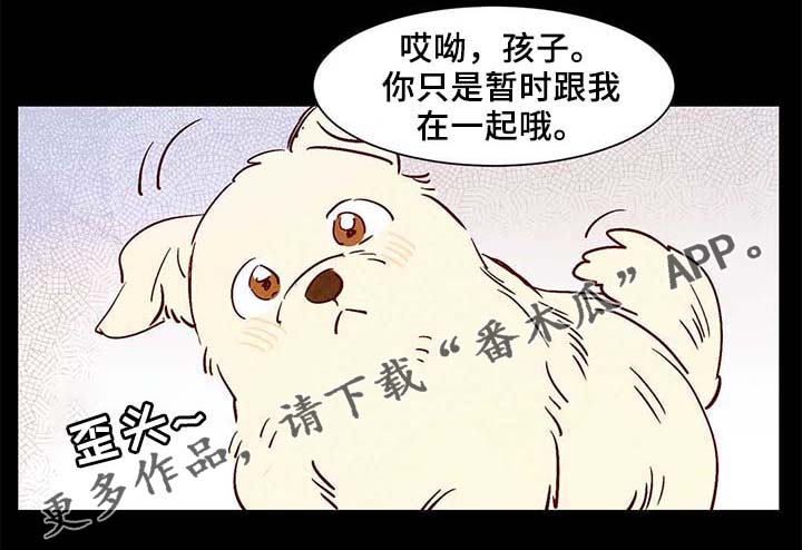第38话14