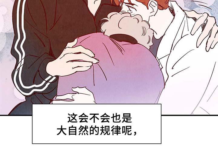 第37话11