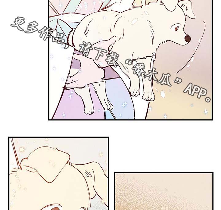 第37话26