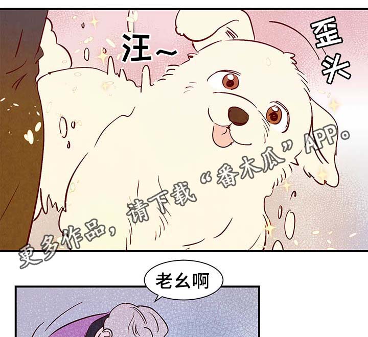 第36话0