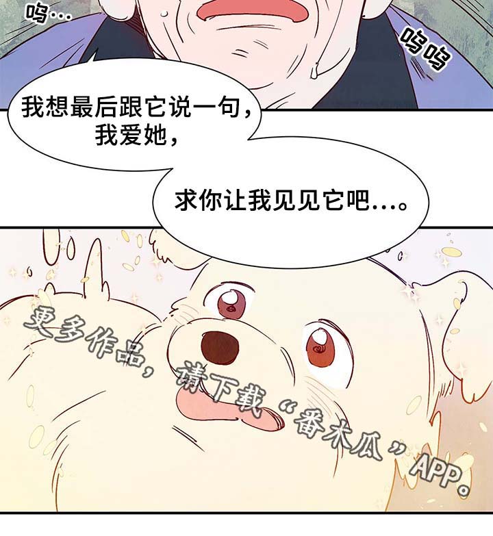 第36话16