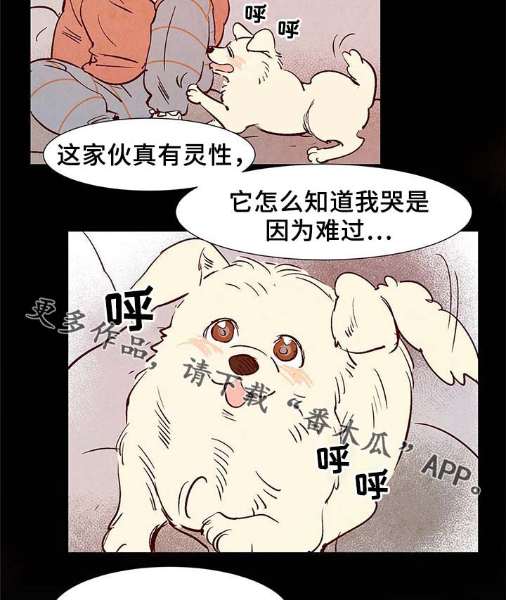 第35话21