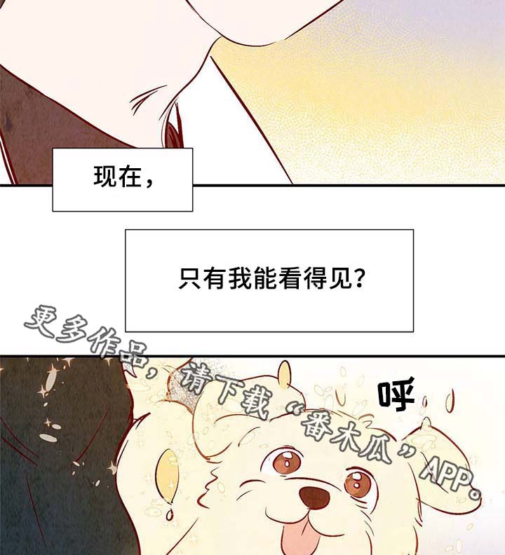 第35话33