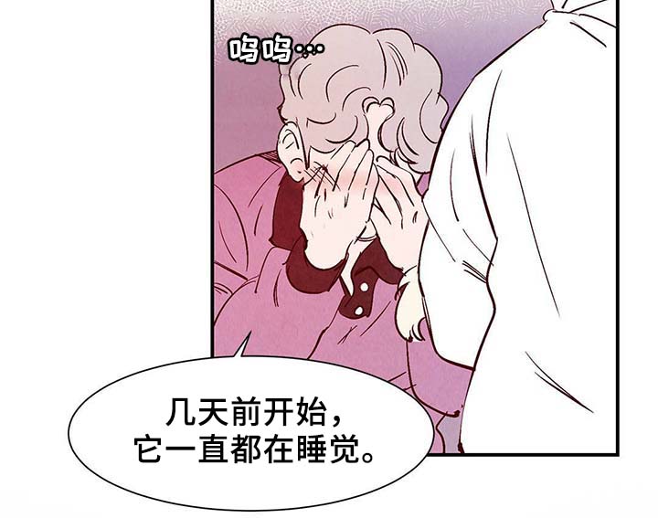 第34话3