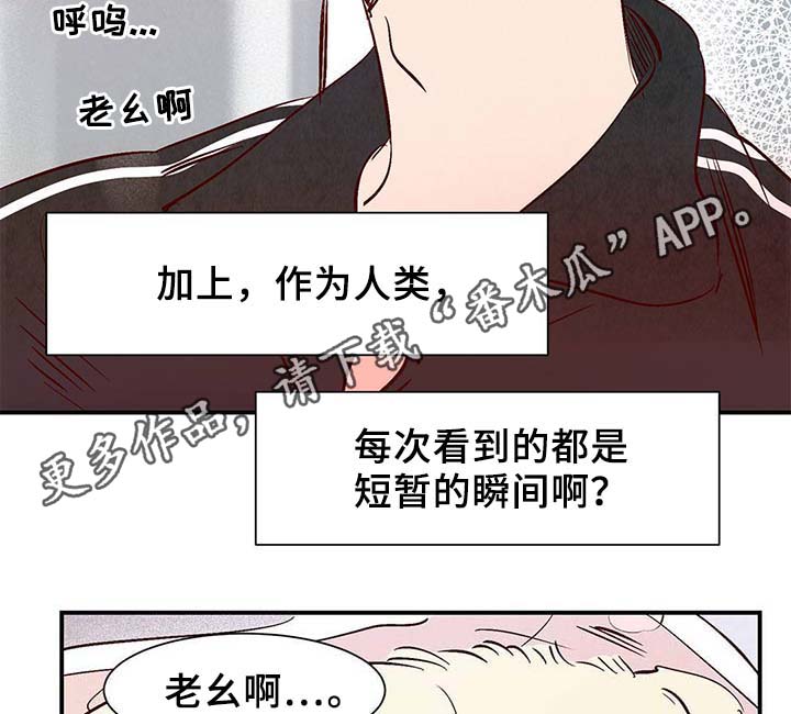 第34话31
