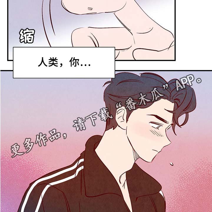第33话19