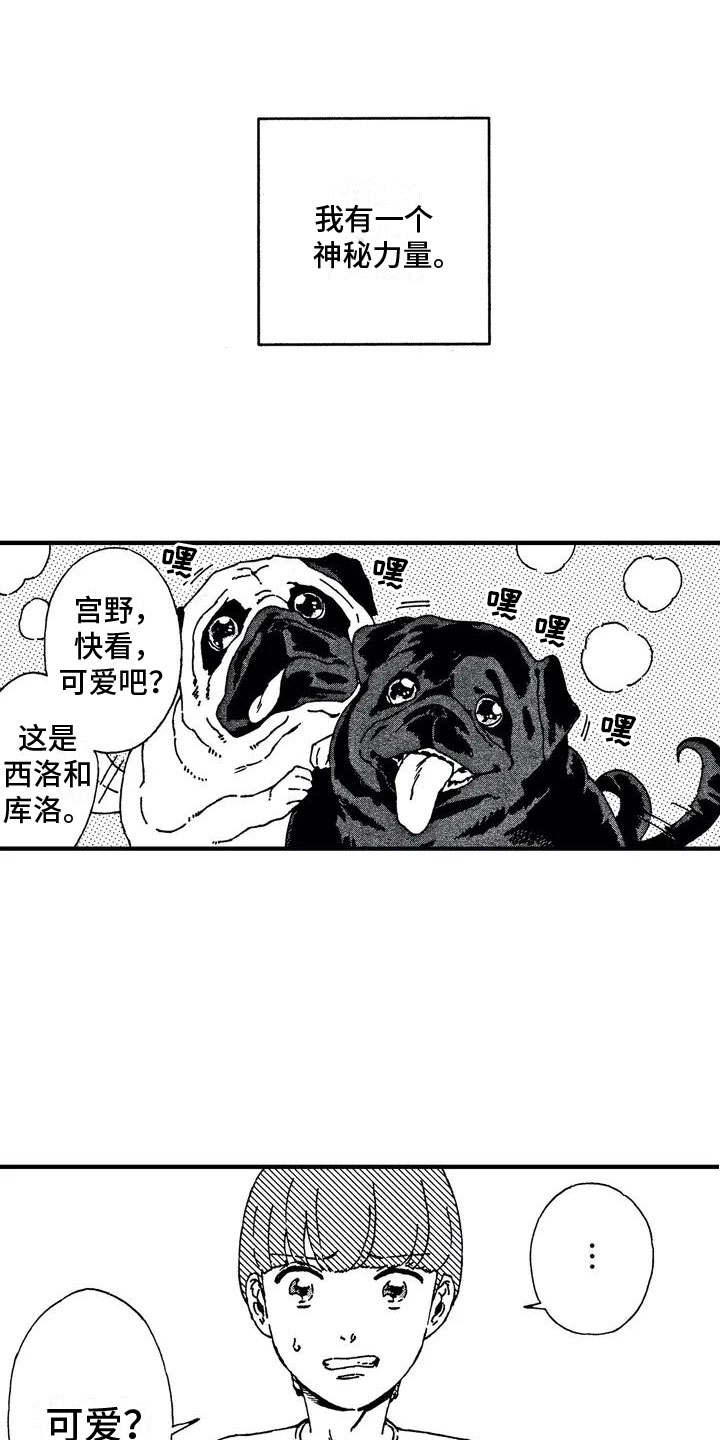 第26话0