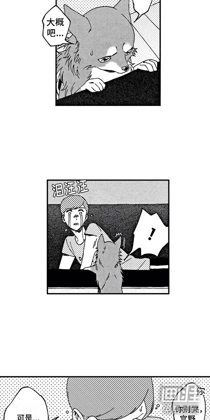 第19话6