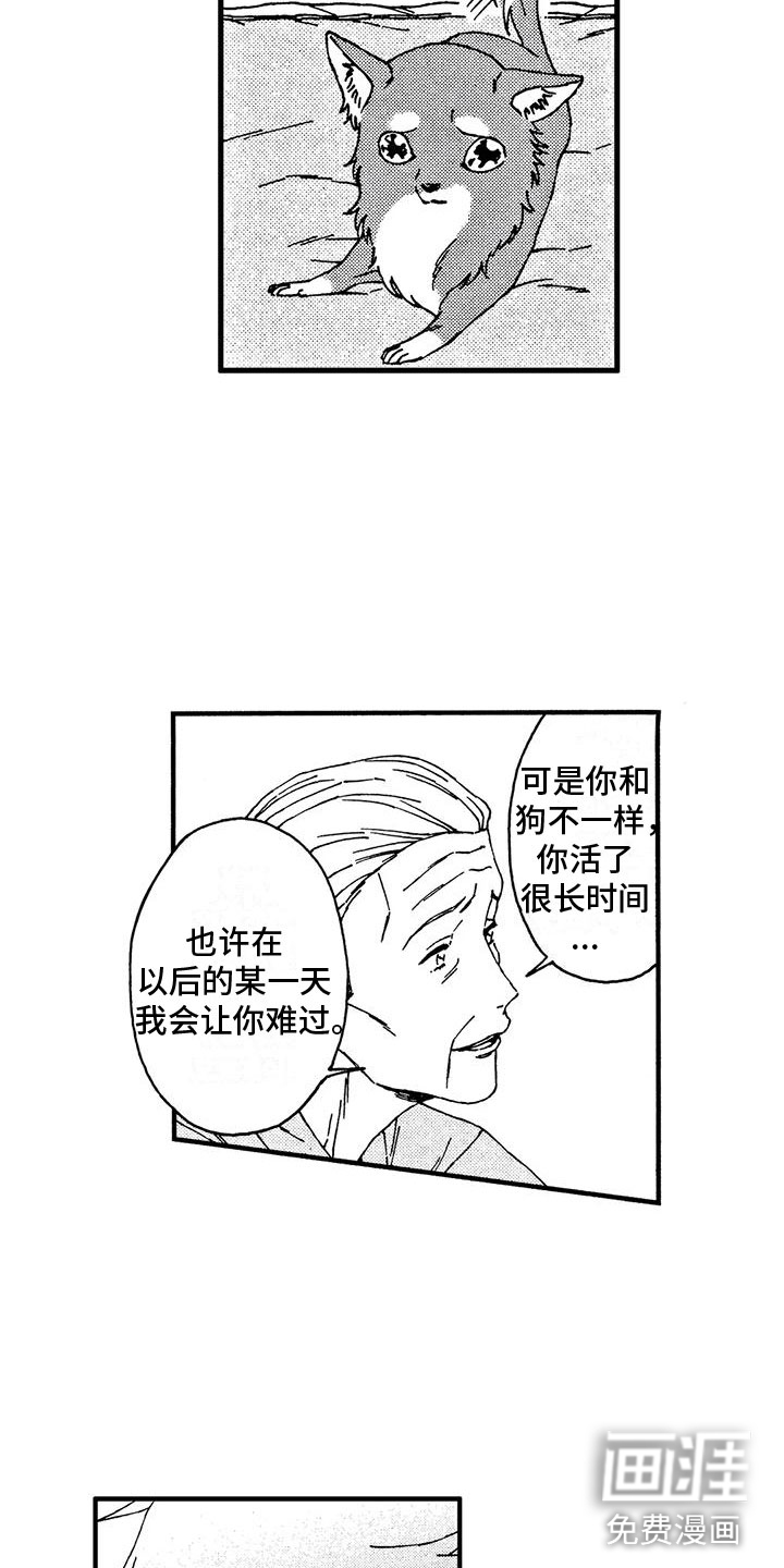 第13话11