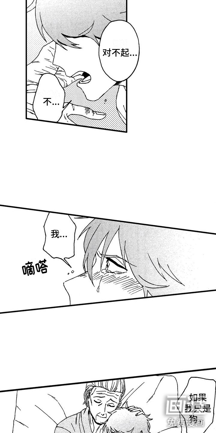 第13话12