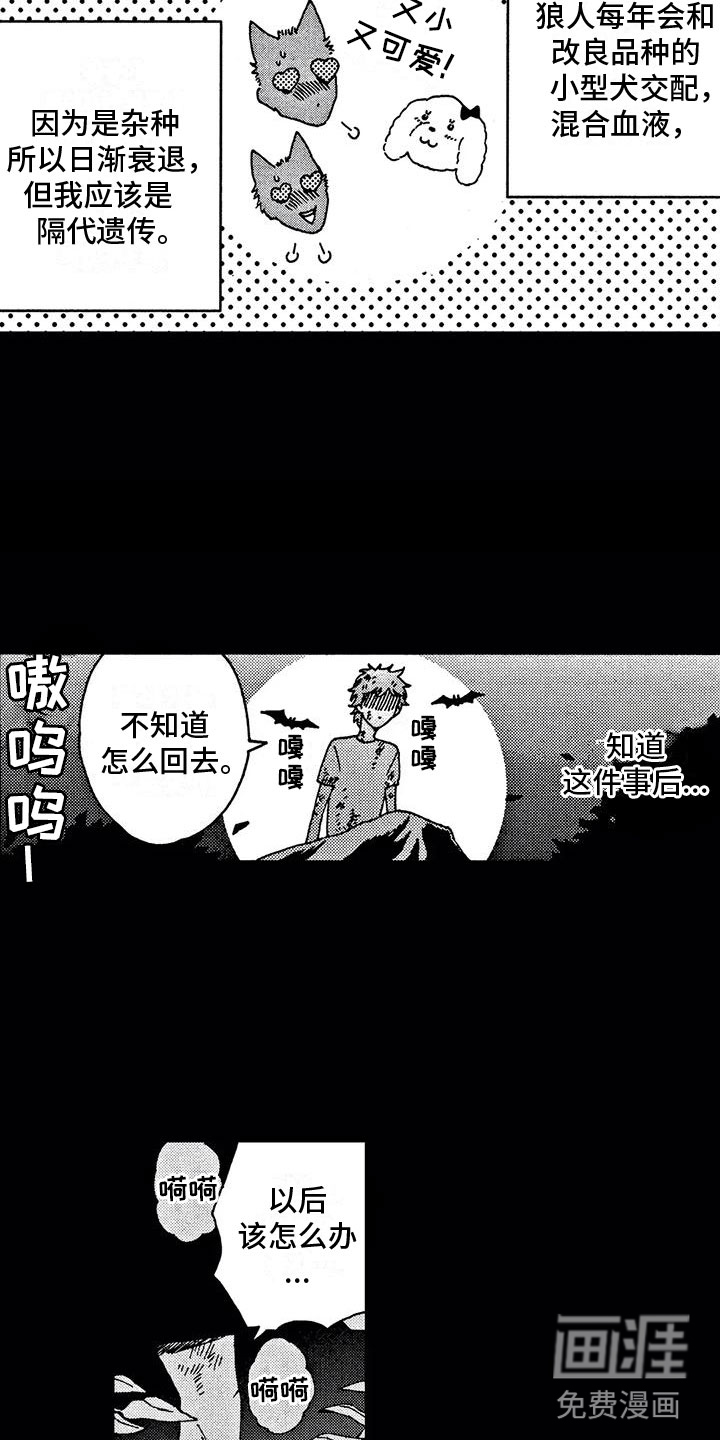 第5话5