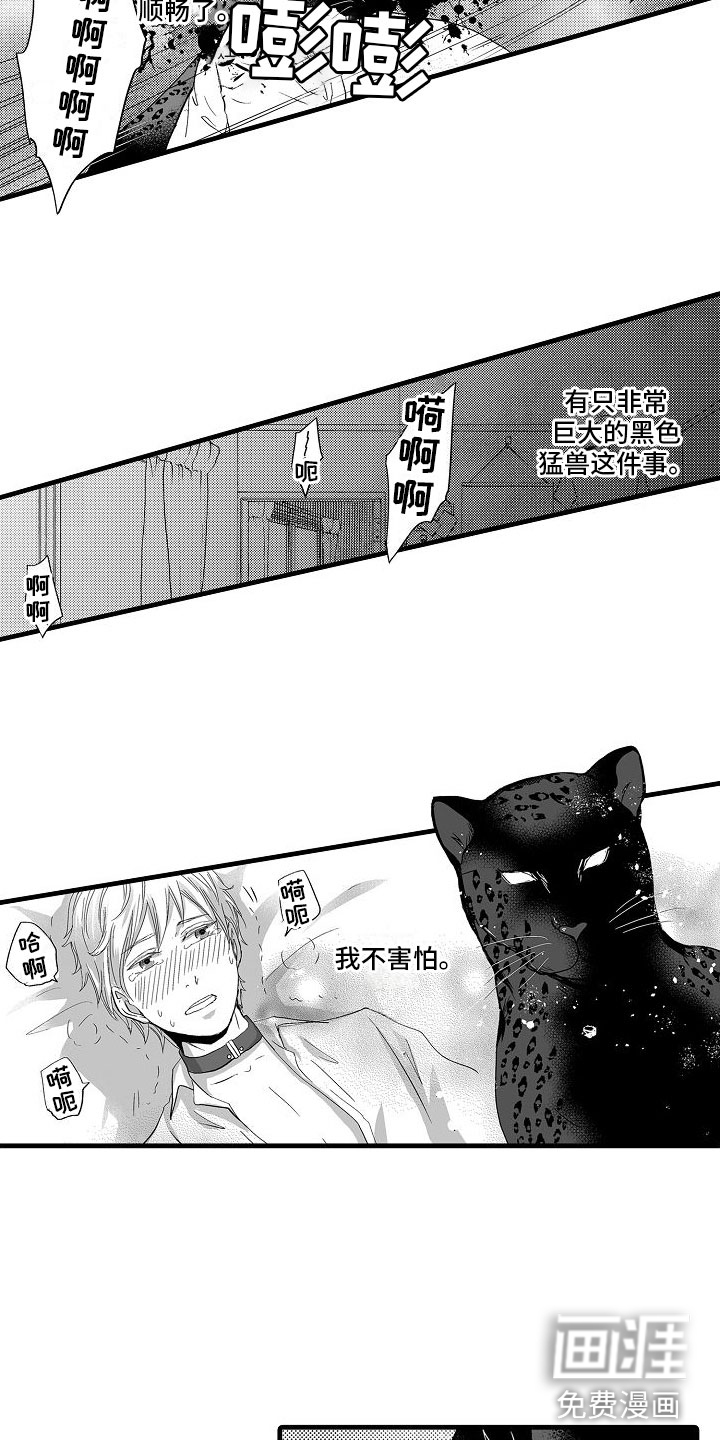 第8话11