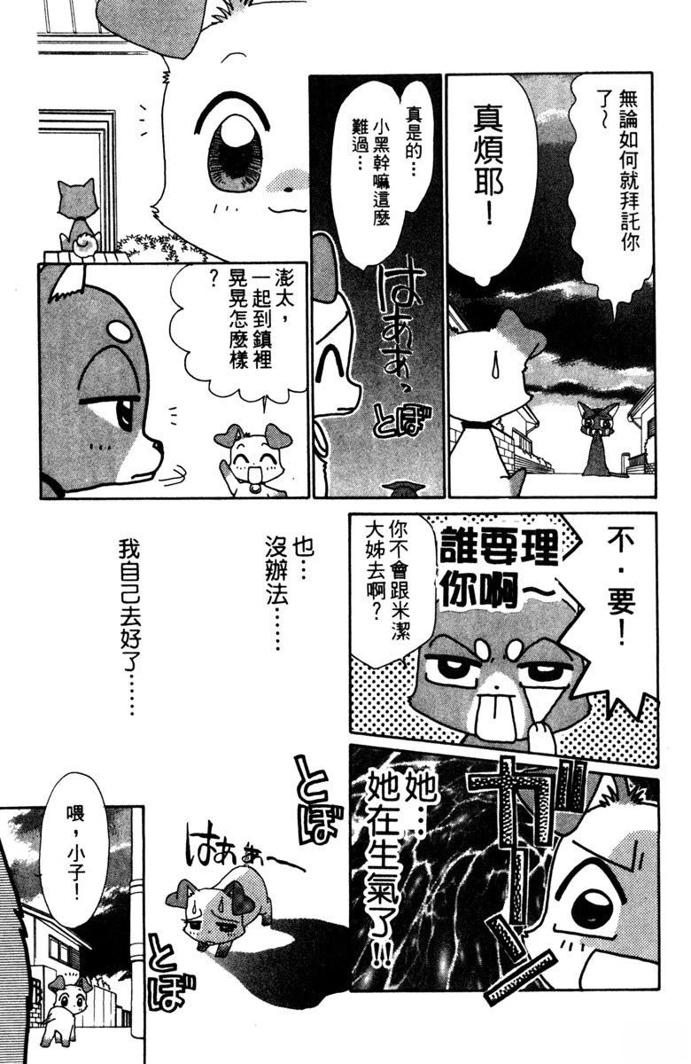 第3卷14