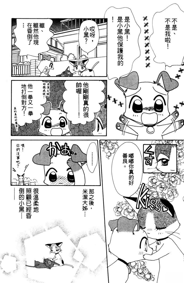 第3卷19