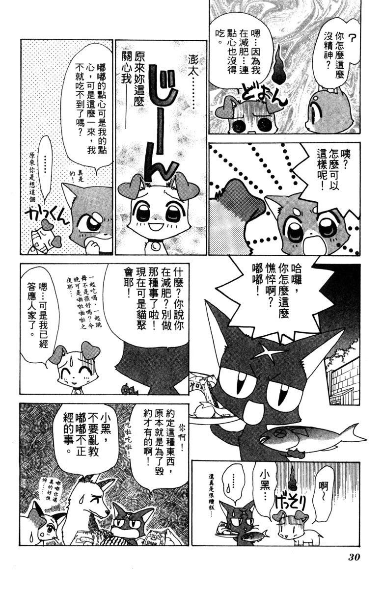 第3卷29