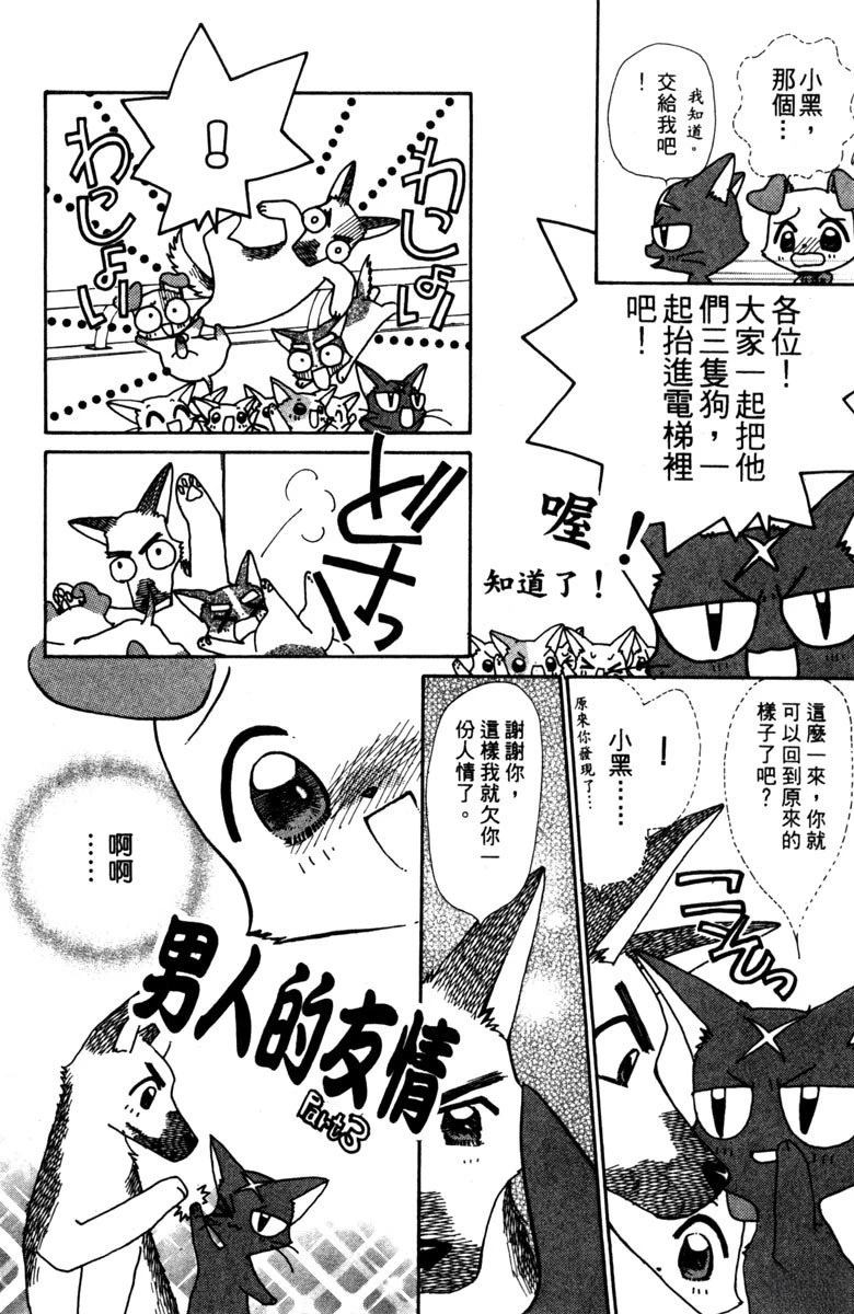 第3卷55