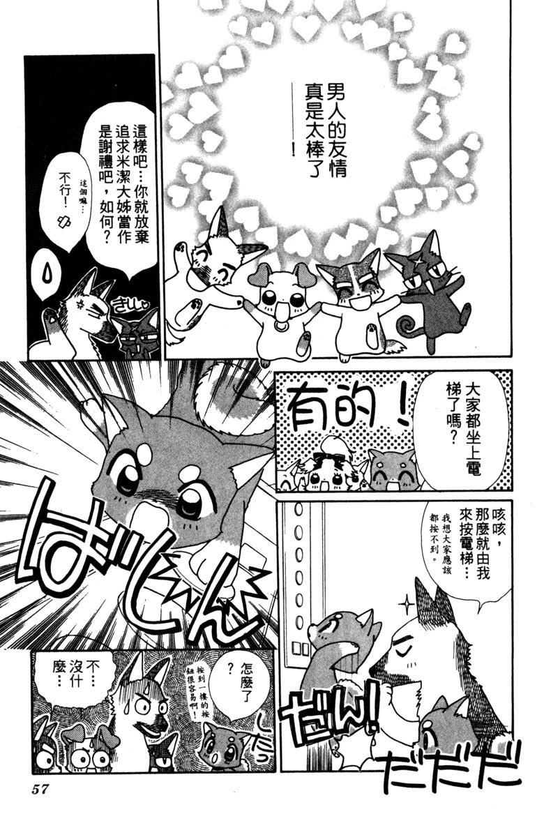 第3卷56