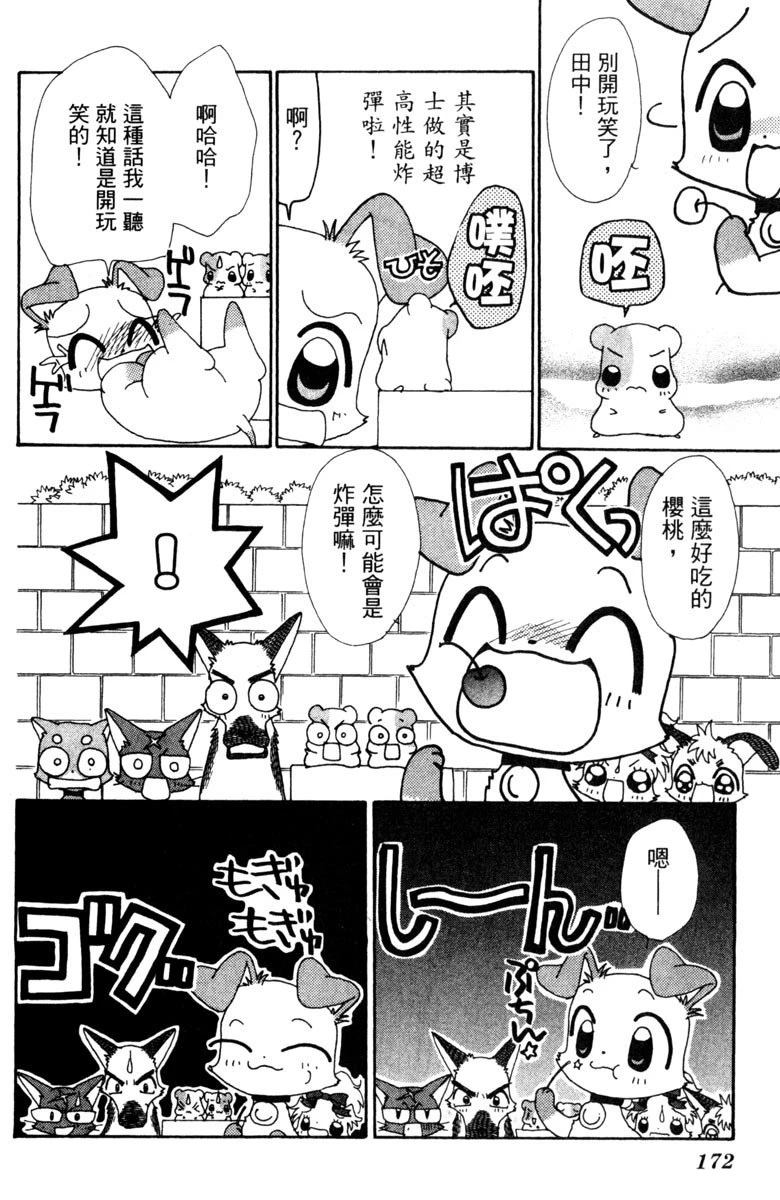 第5卷171