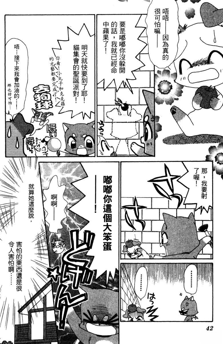 第5卷41