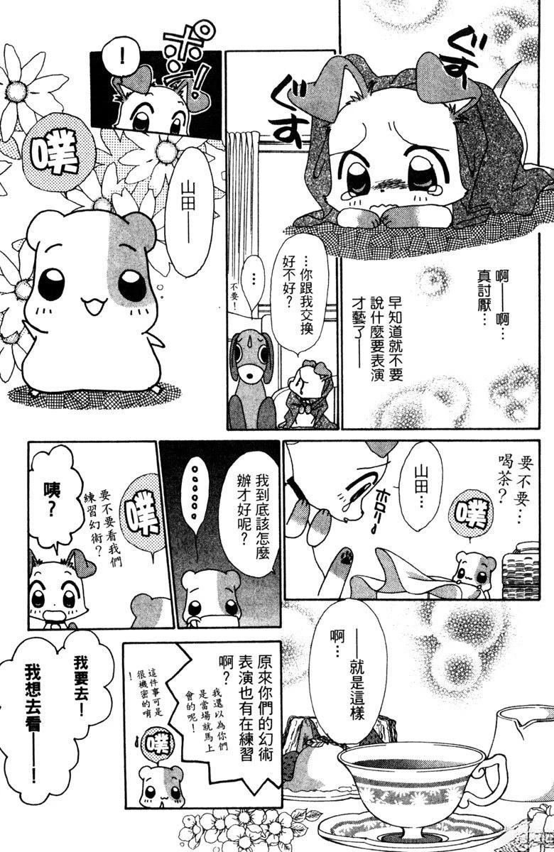 第5卷42