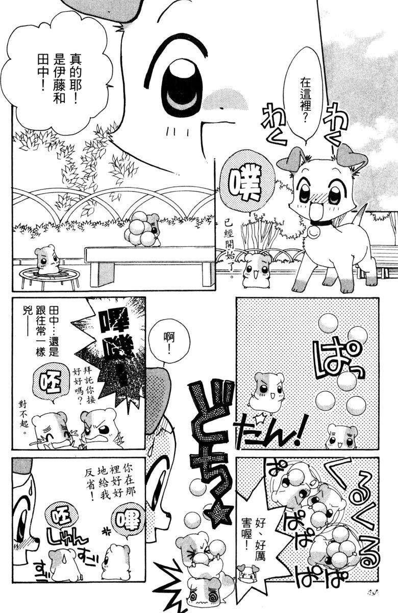 第5卷43