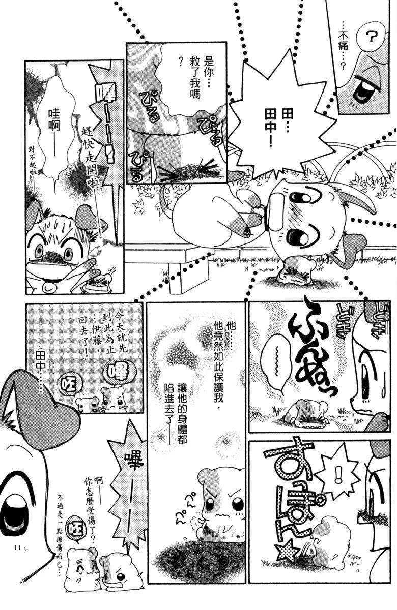 第5卷46