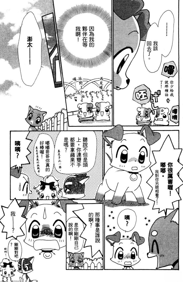 第5卷48