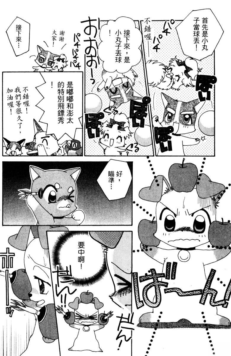 第5卷51