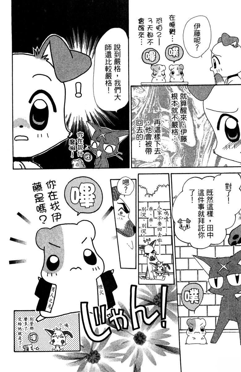 第6卷161