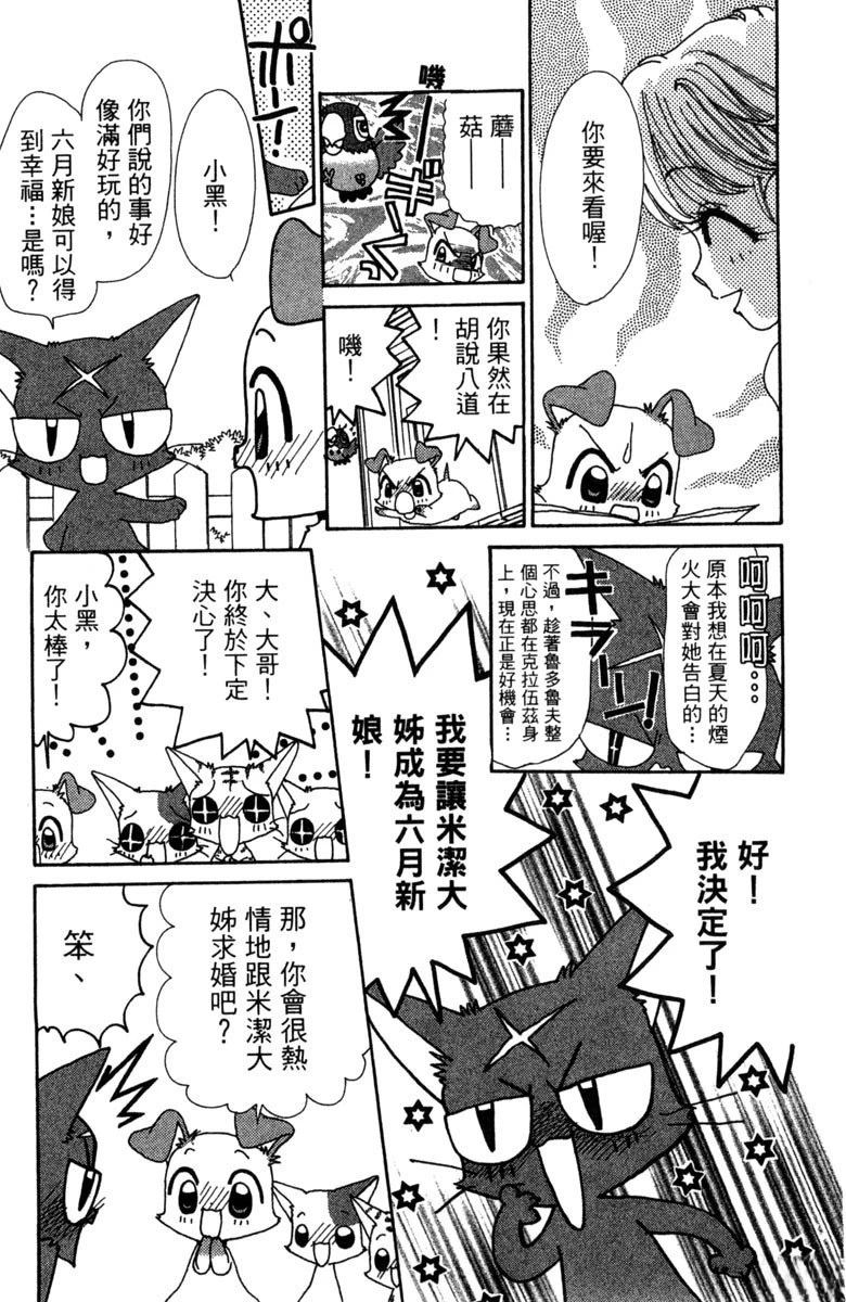 第6卷24