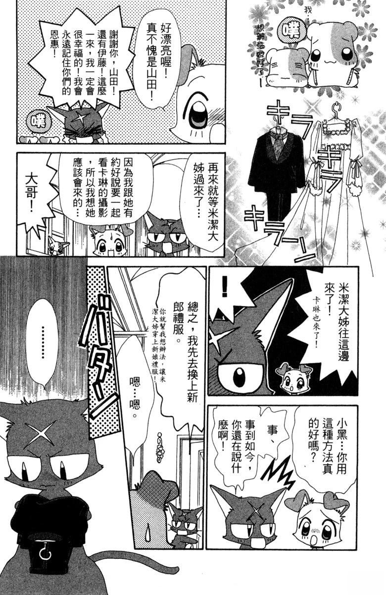 第6卷28