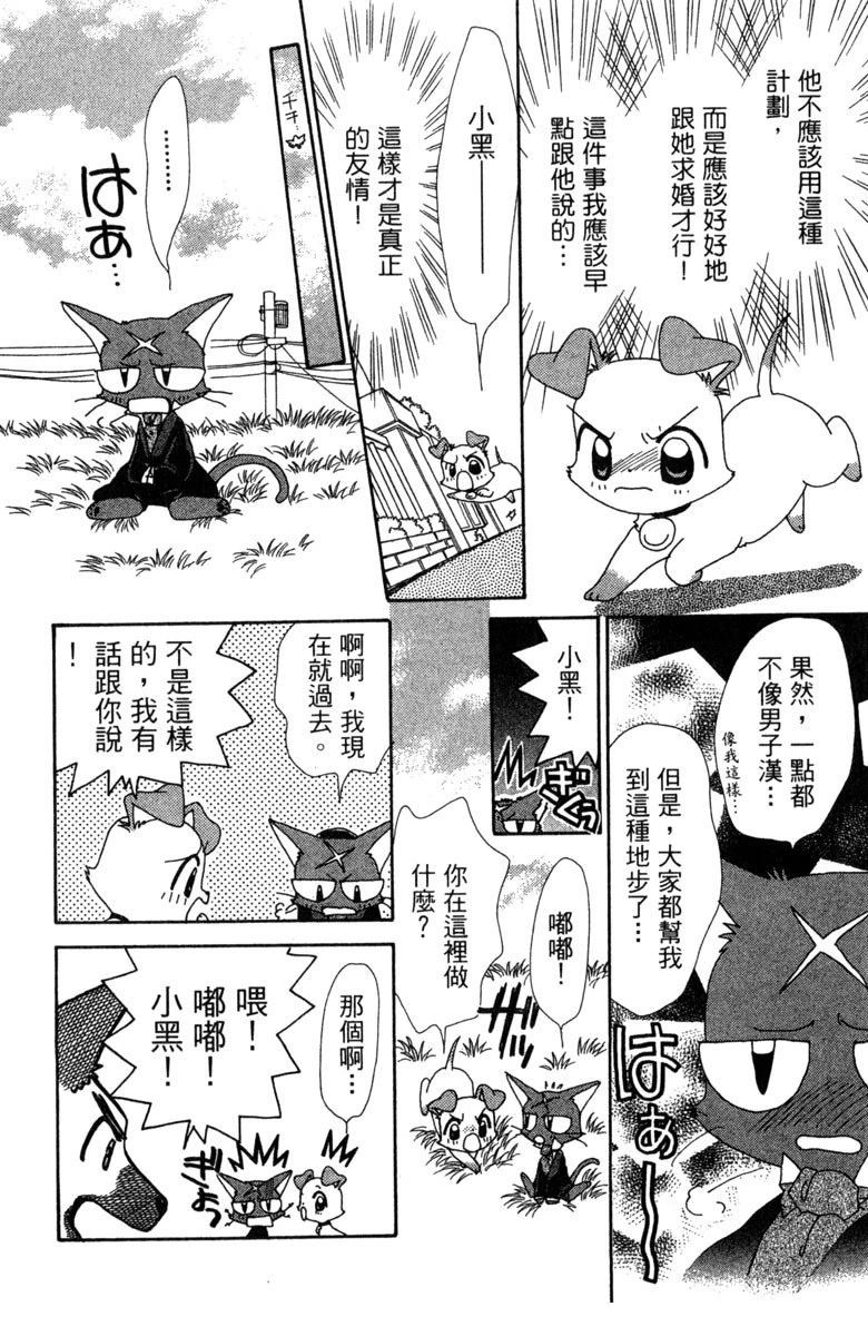 第6卷31