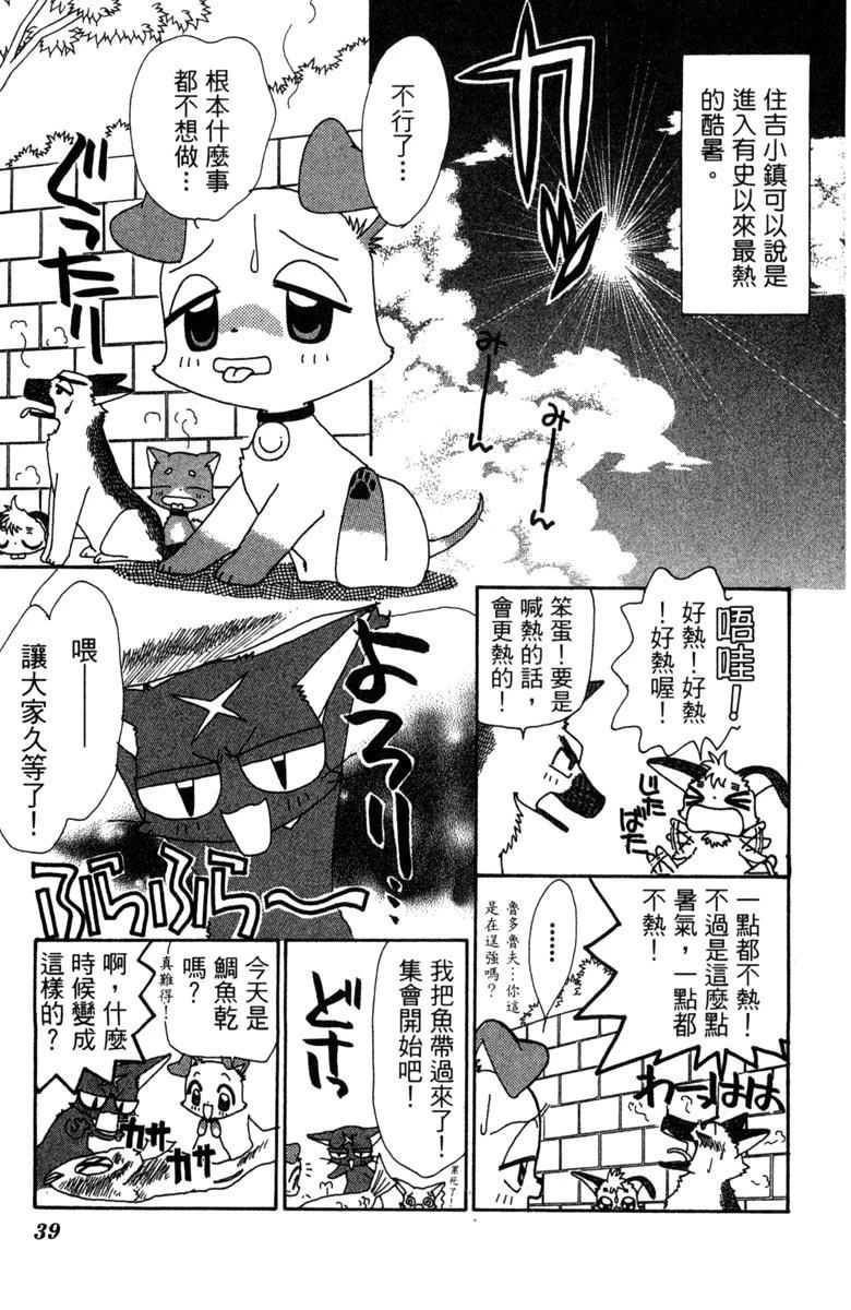 第6卷40