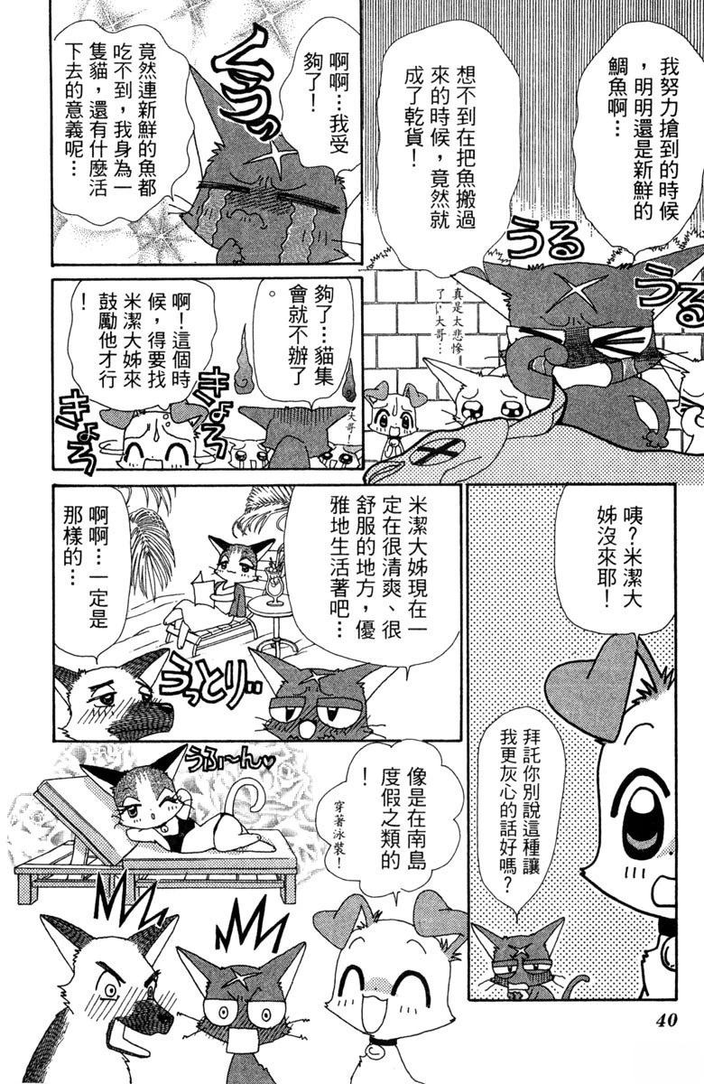 第6卷41