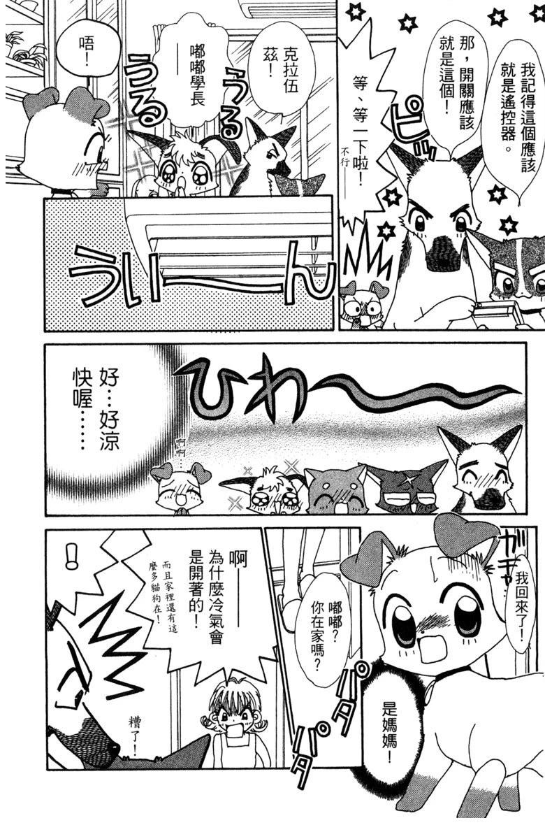 第6卷43