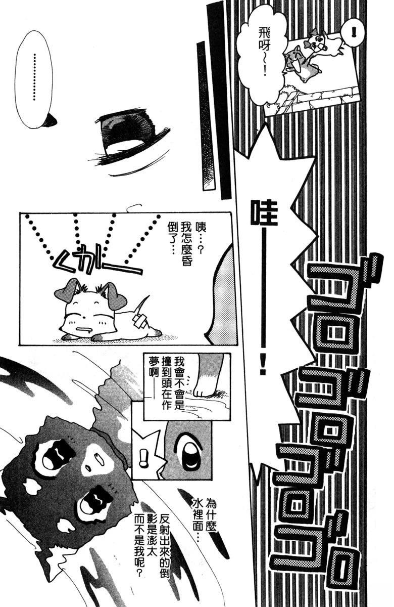第2卷12