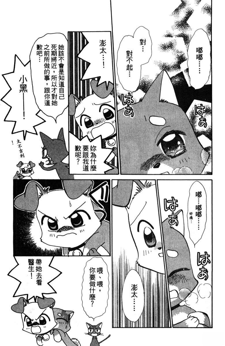 第2卷84