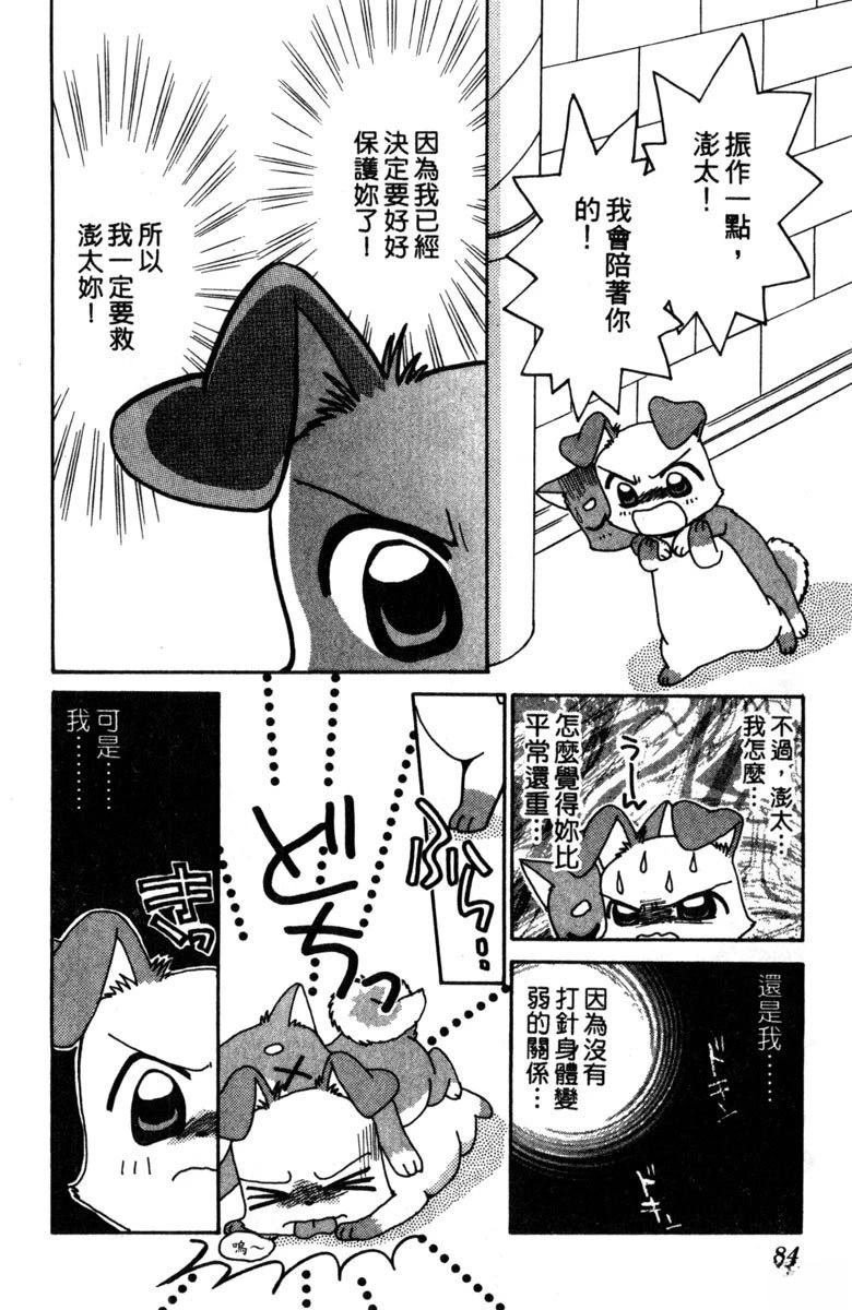 第2卷85
