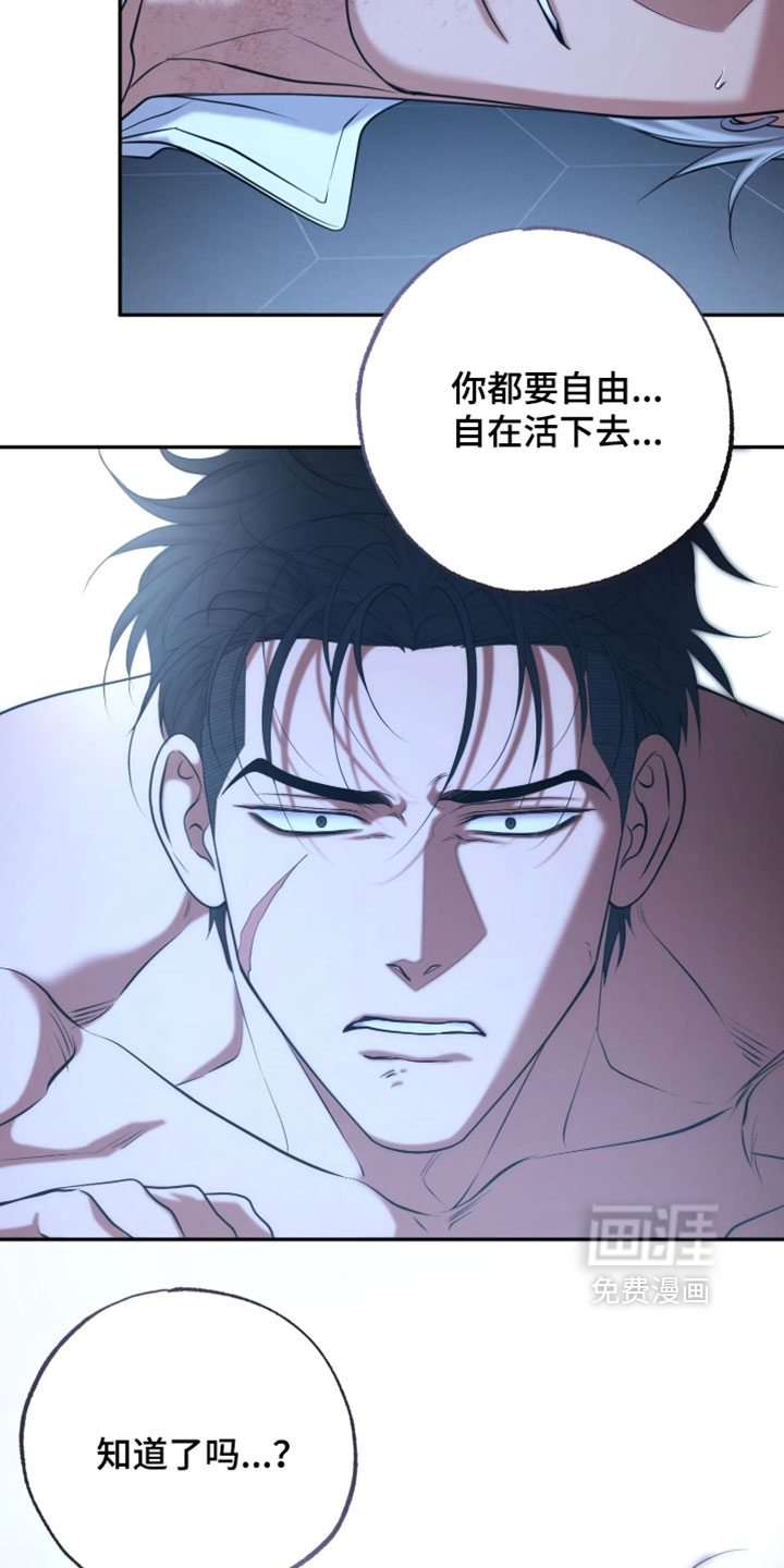 第54话20