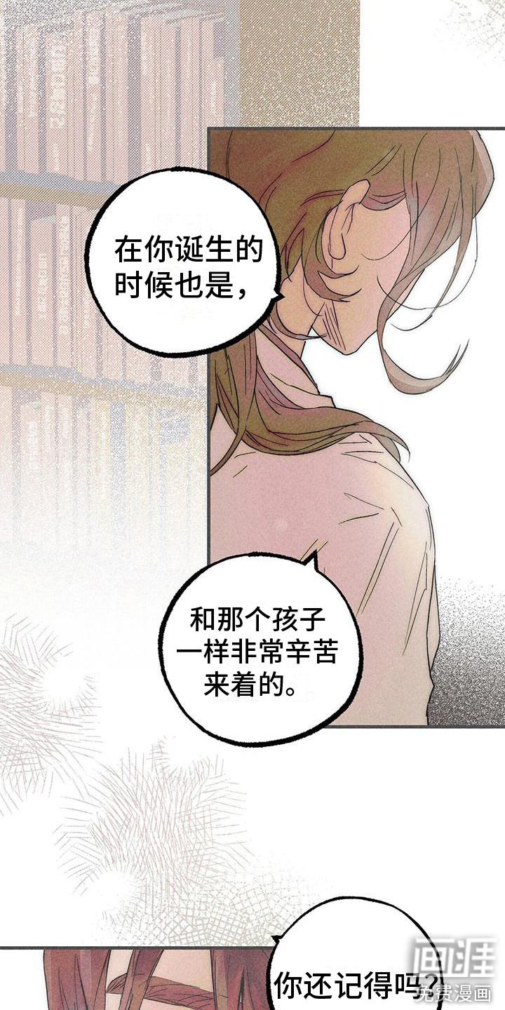 第24话8