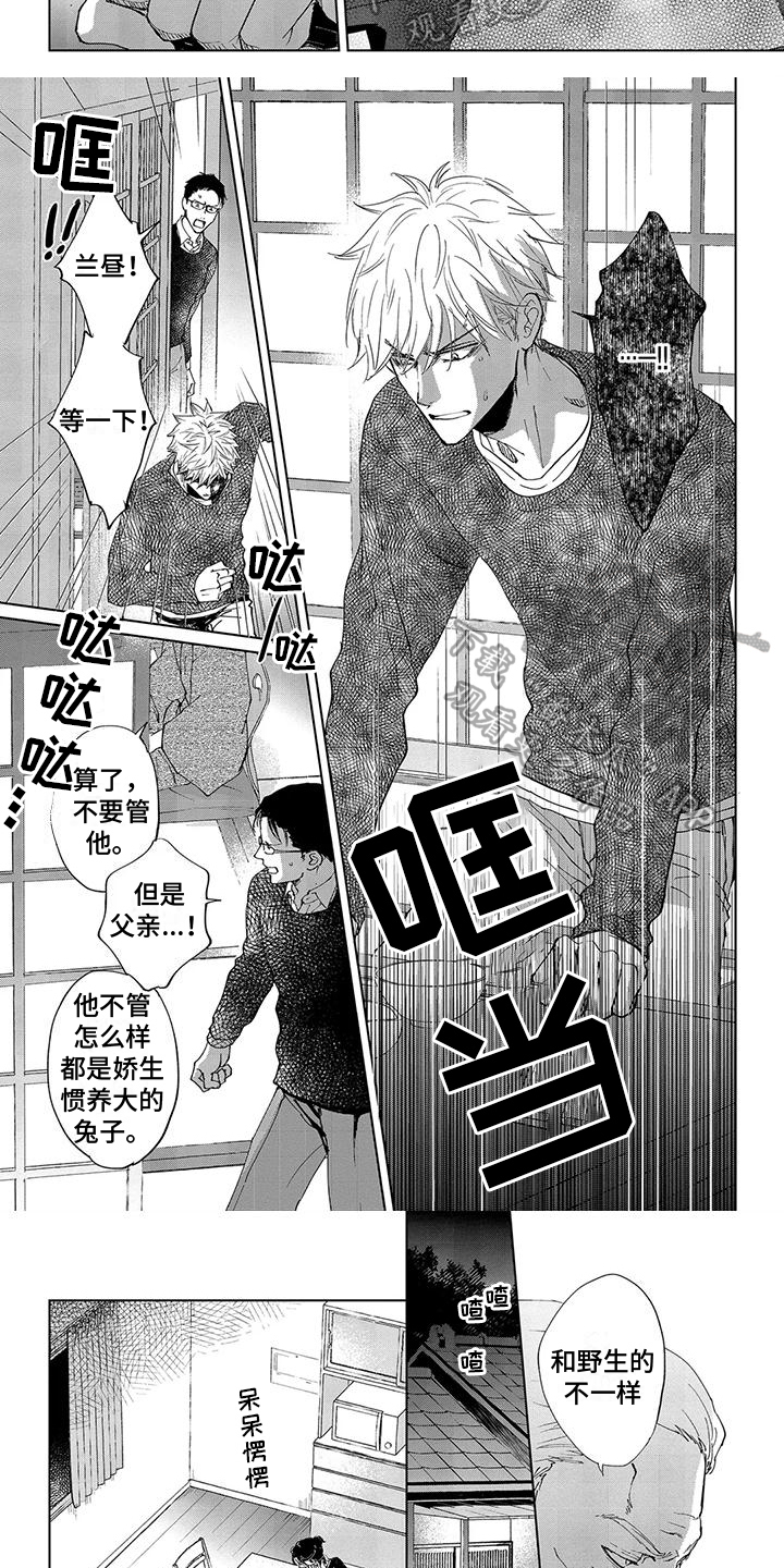 第13话1