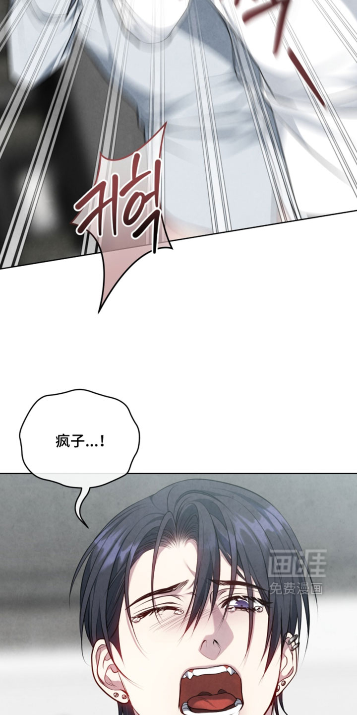 第43话19