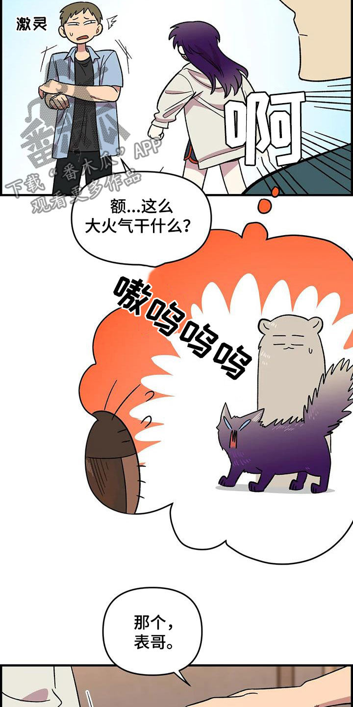 第75话8