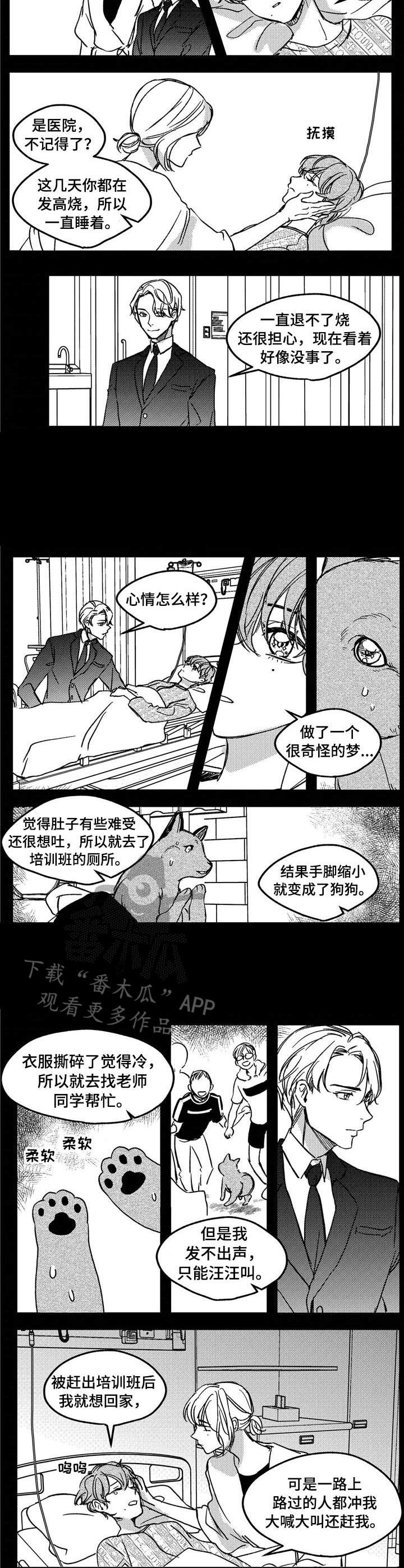 第11话4