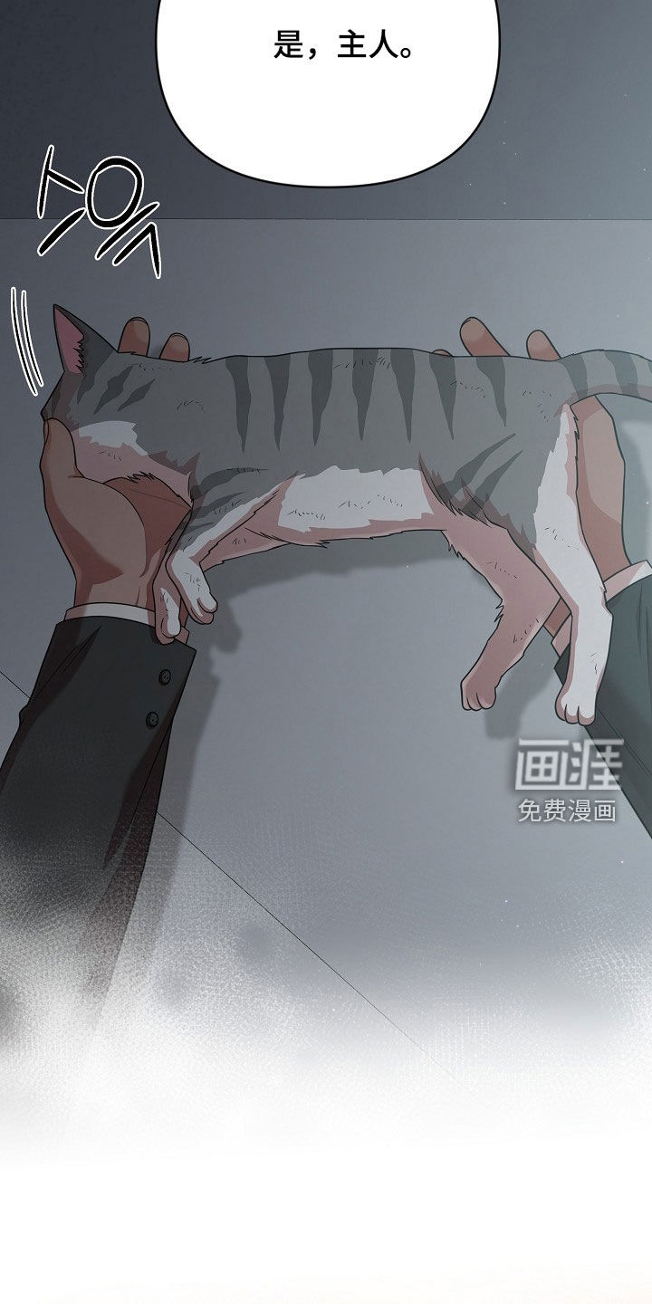 第29话13