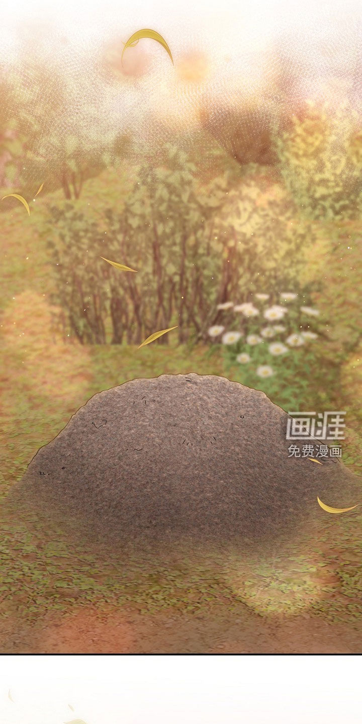 第29话14