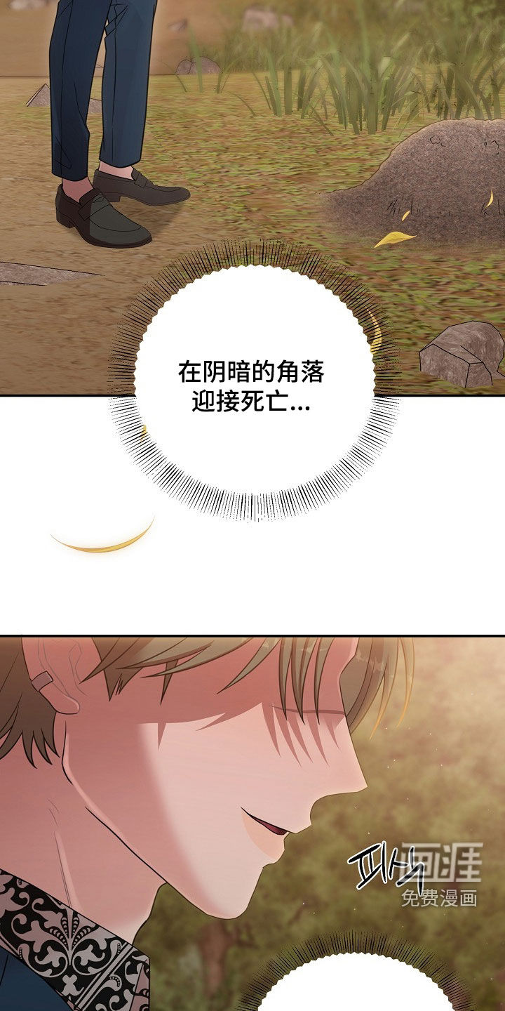 第29话17