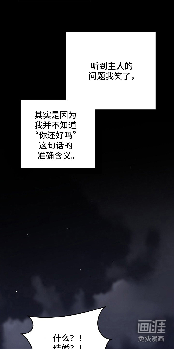 第12话16
