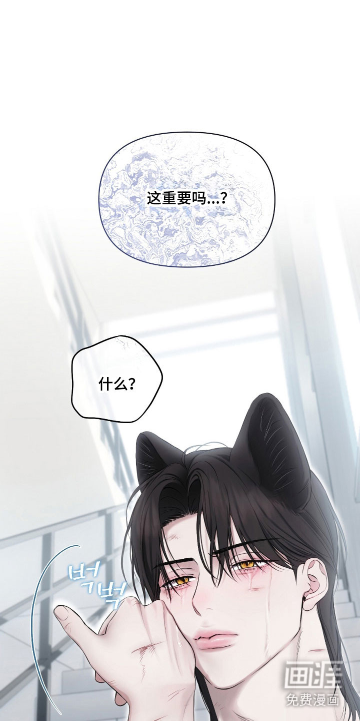第29话29