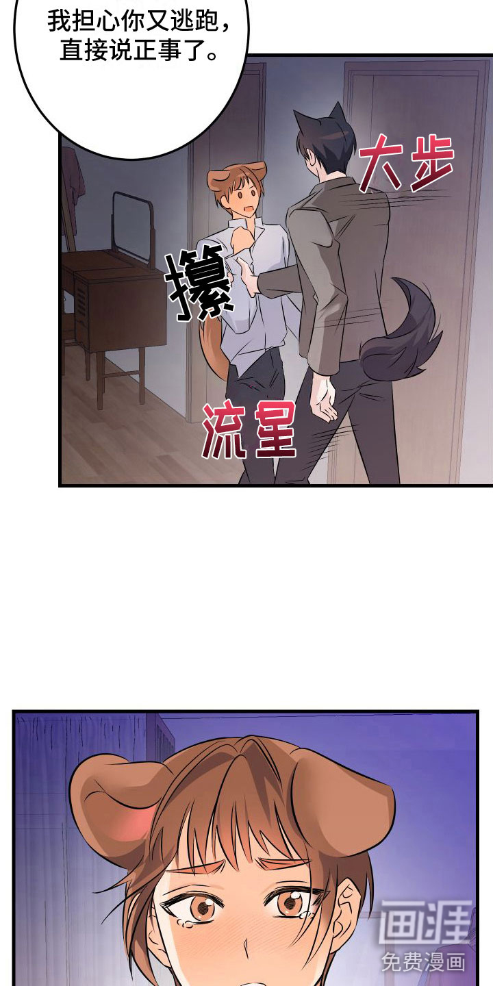 第9话7